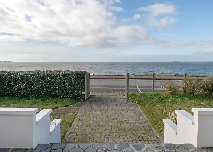 Face - Familiale Pour 12 *